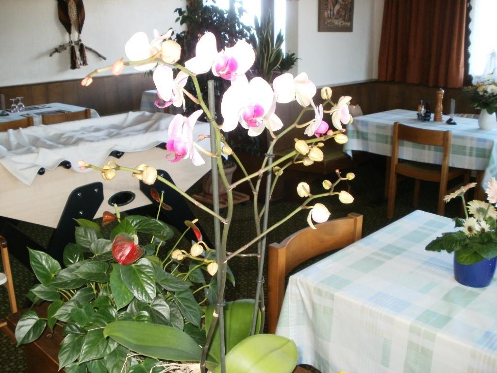 Hotel Pez Ault Disentis Eksteriør bilde
